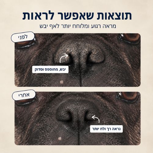 ®Bloomi - משחה לאף & כפות הכלב
