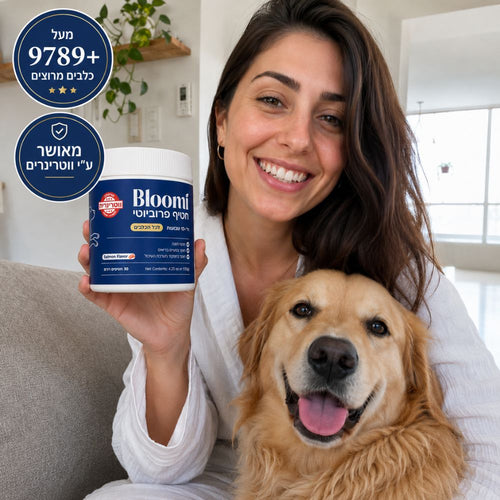®Bloomi - חטיפי פרוביוטיקה לכלב