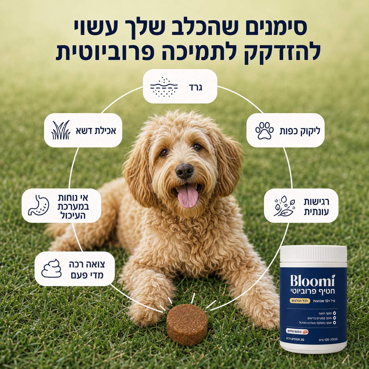 ®Bloomi - חטיפי פרוביוטיקה לכלב