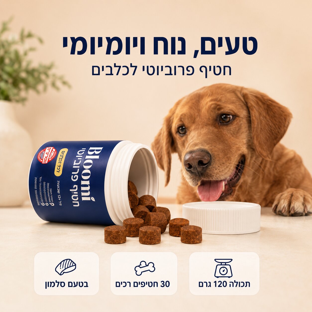 ®Bloomi - חטיפי פרוביוטיקה לכלב
