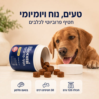 ®Bloomi - חטיפי פרוביוטיקה לכלב